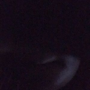 Meet your Posher, Ferrell